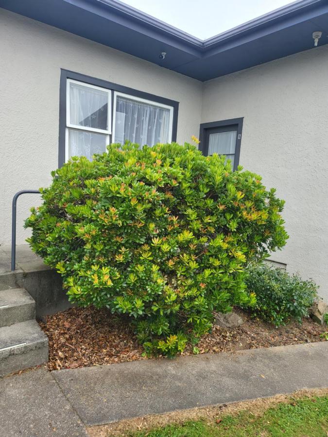 Totara Lodge Motel Levin Exterior photo