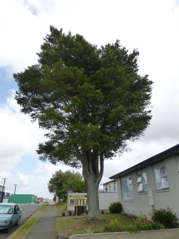 Totara Lodge Motel Levin Exterior photo